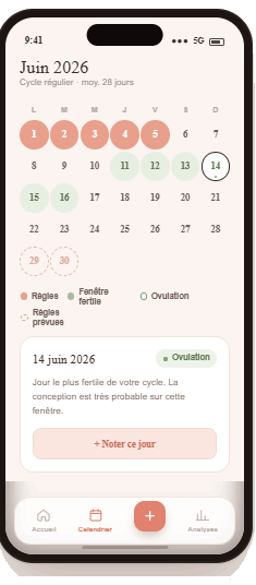 Calendrier des phases du cycle